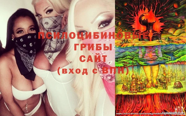 гидра Дмитров