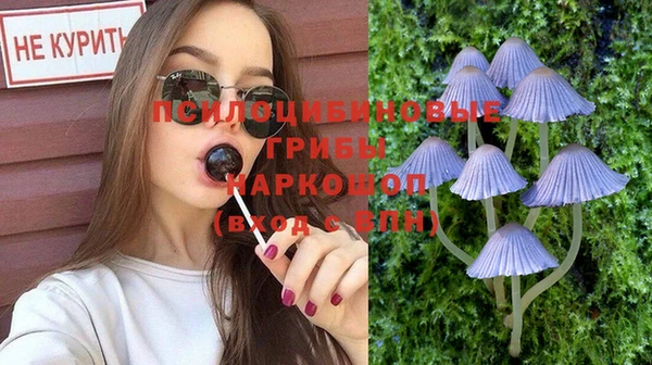 гидра Дмитров
