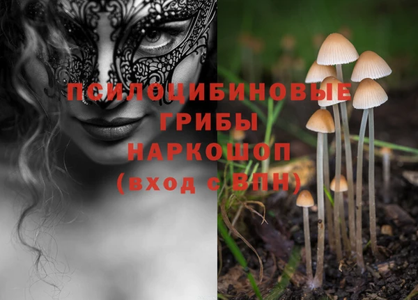 кристаллы Дмитриев