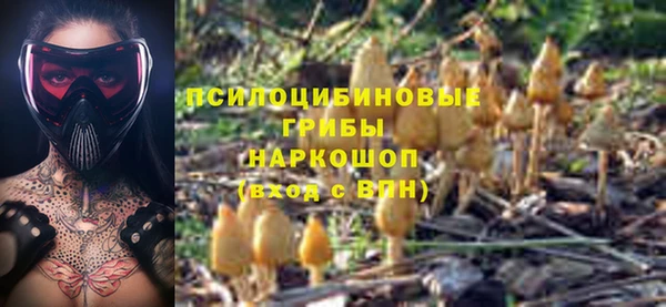 кристаллы Дмитриев